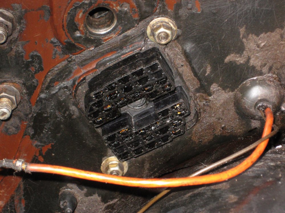harness_4.thumb.jpg.b76f958aa8ec15cdc48c