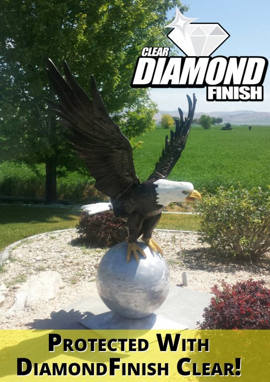 2021-09-01 DF Clear - Customer Photo.jpg